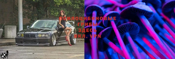 ешки Богданович