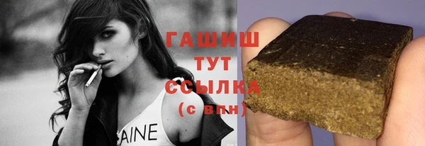 дмт Богородицк