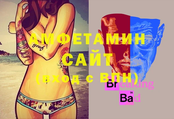 дмт Богородицк