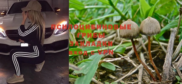 дмт Богородицк