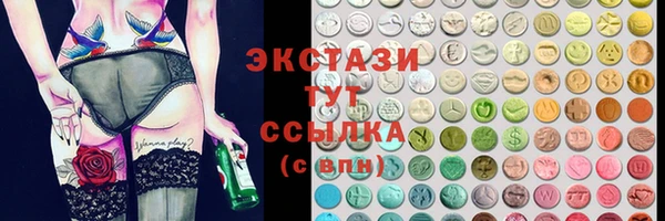 дмт Богородицк
