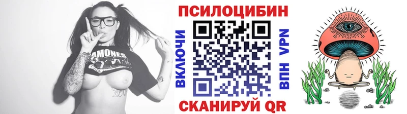 Купить где  Пугачёв  Галлюциногенные грибы мицелий 